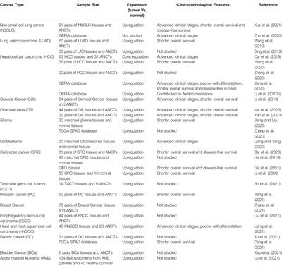 Long Noncoding RNA LINC00467: Role in Various Human Cancers